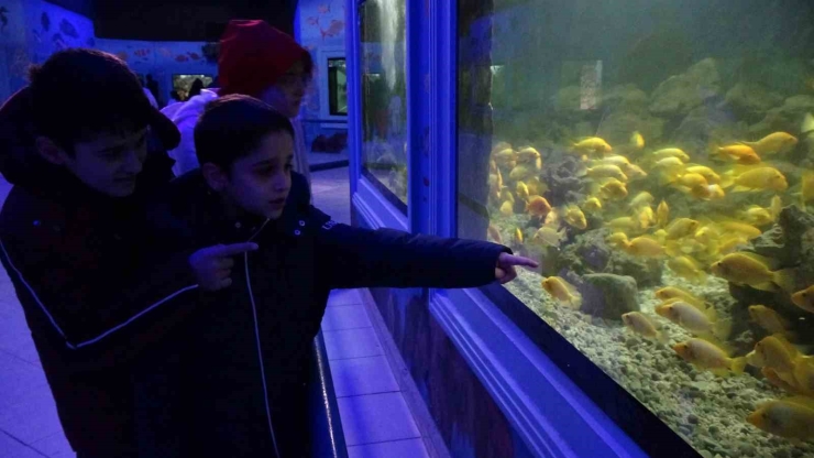 Gaziantep Doğal Yaşam Parkı’nda Yarıyıl Tatili Yoğunluğu