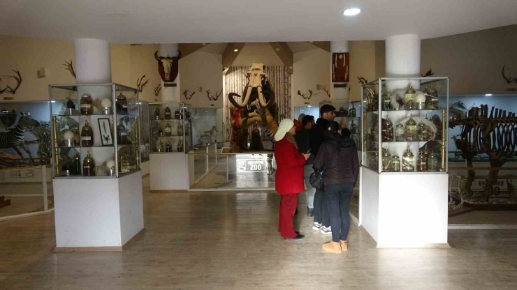 Gaziantep Doğal Yaşam Parkı’nda Yarıyıl Tatili Yoğunluğu