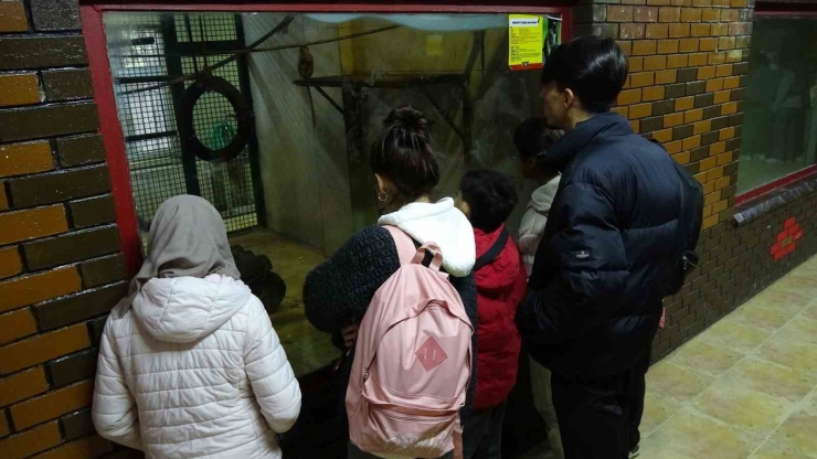 Gaziantep Doğal Yaşam Parkı’nda Yarıyıl Tatili Yoğunluğu