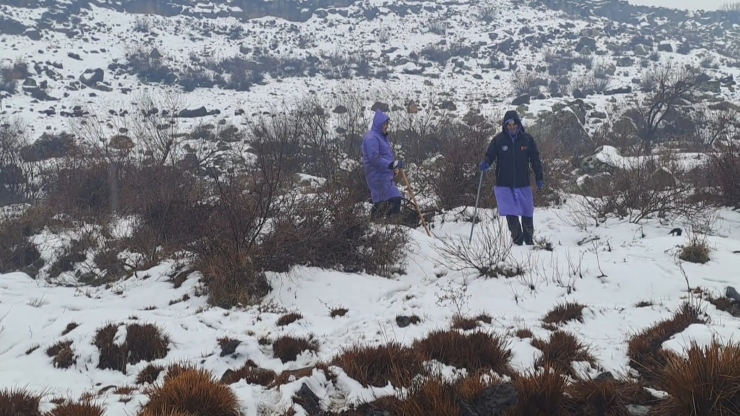 Diyarbakır’da Kayıp Kadından 8 Gündür Haber Alınamıyor