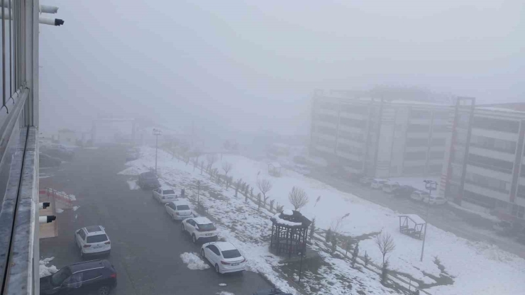 Kulp İlçesinde Yoğun Sis Etkili Oldu