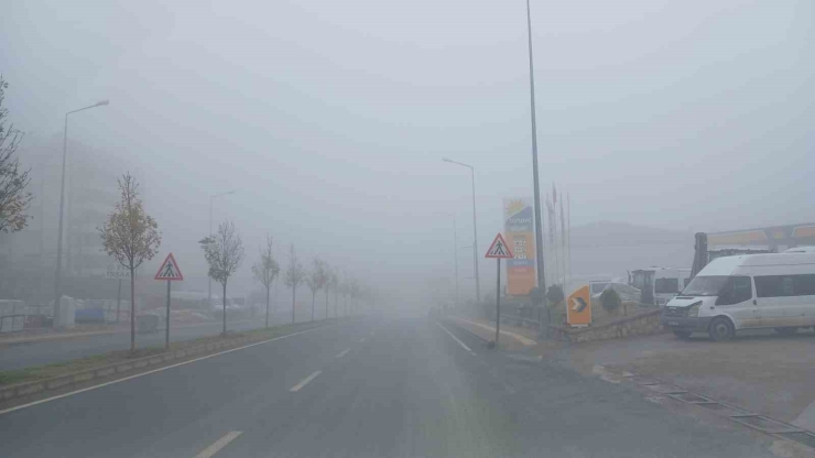 Kulp İlçesinde Yoğun Sis Etkili Oldu