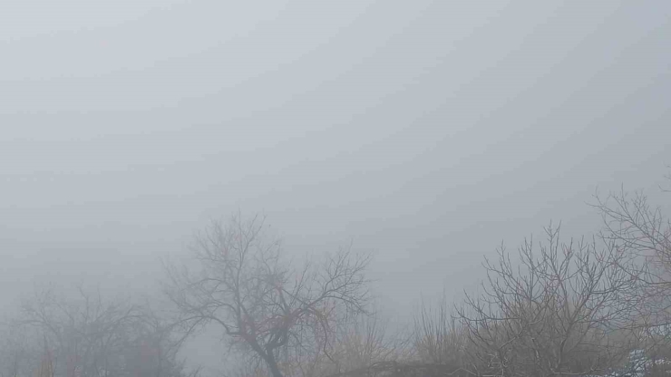 Kulp İlçesinde Yoğun Sis Etkili Oldu