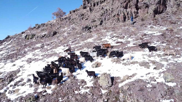 Malatyalı Yetiştiriciler Zorlu Hava Şartlarına Rağmen Üretimi Sürdürüyor