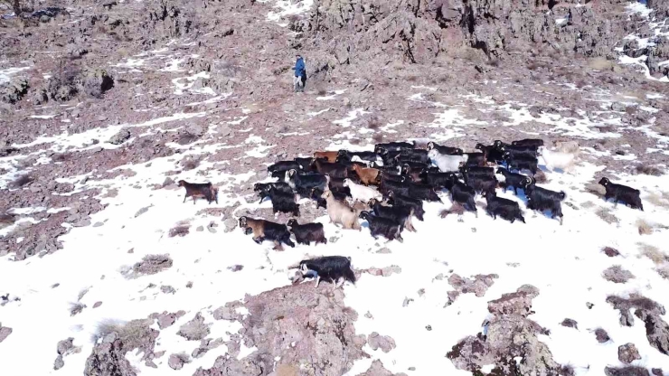 Malatyalı Yetiştiriciler Zorlu Hava Şartlarına Rağmen Üretimi Sürdürüyor