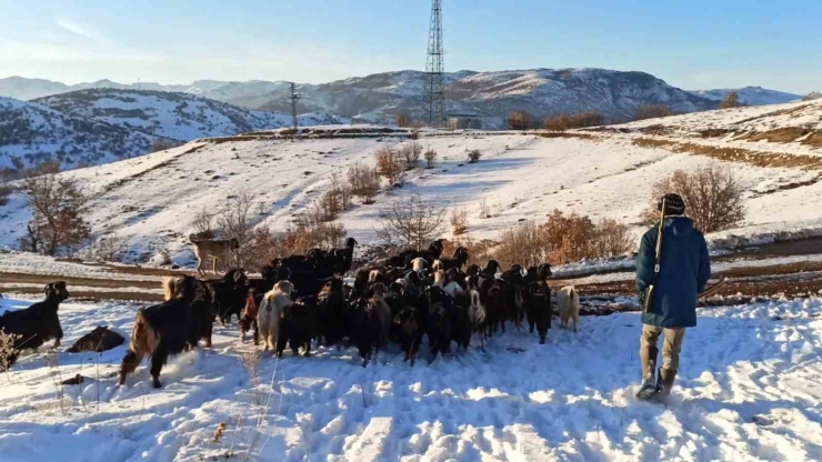Malatyalı Yetiştiriciler Zorlu Hava Şartlarına Rağmen Üretimi Sürdürüyor