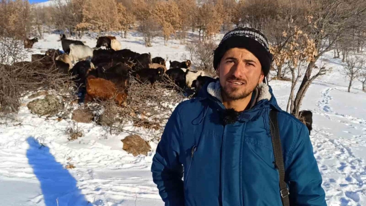 Malatyalı Yetiştiriciler Zorlu Hava Şartlarına Rağmen Üretimi Sürdürüyor