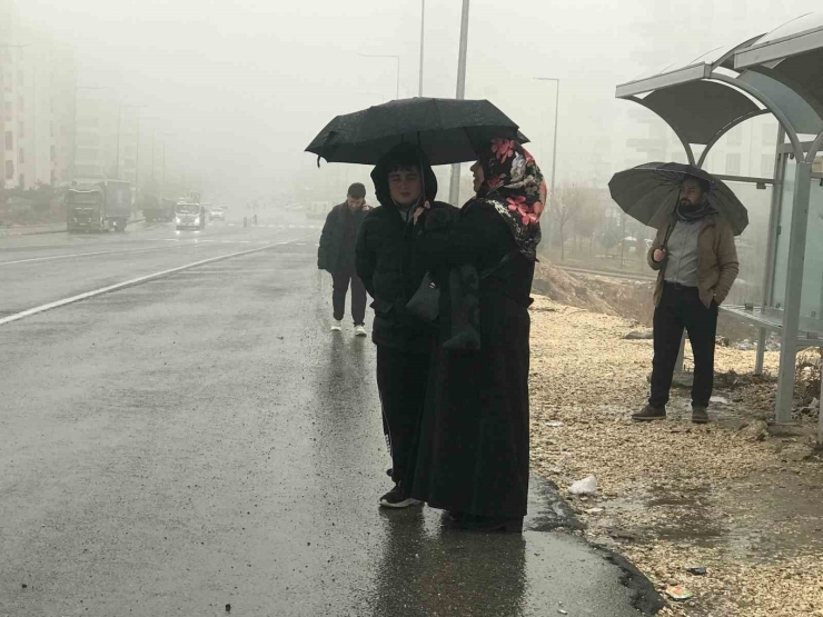 Şanlıurfa’da Yoğun Sis Ve Yağmur Etkili Oluyor
