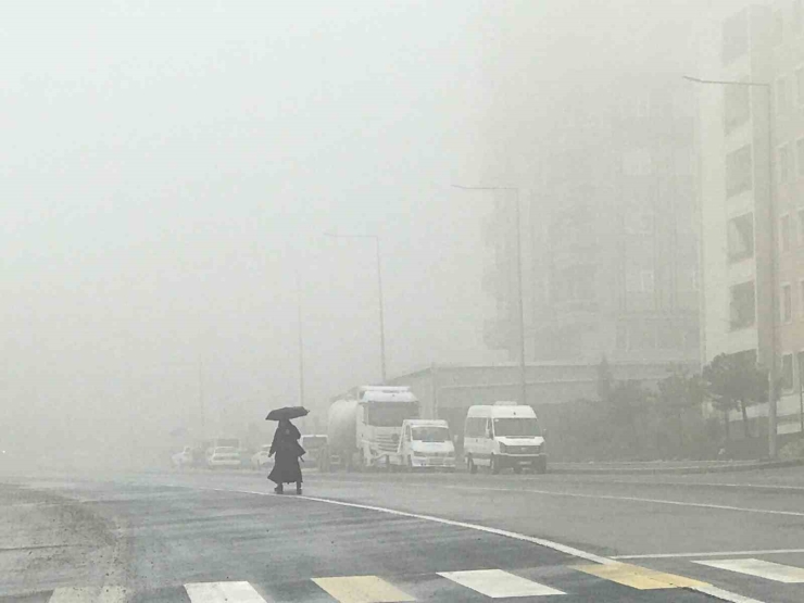Şanlıurfa’da Yoğun Sis Ve Yağmur Etkili Oluyor