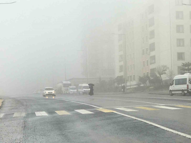 Şanlıurfa’da Yoğun Sis Ve Yağmur Etkili Oluyor