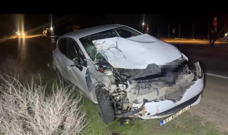 Ceylanpınar’da Otomobil, At Arabasına Çarptı: 2 Yaralı