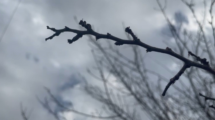 Şanlıurfa’da Yoğun Kar Yağışları Çiftçinin Yüzünü Güldürdü