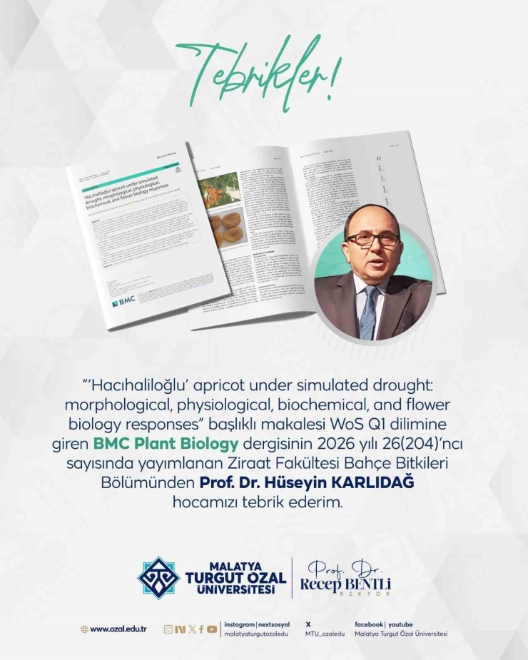 Mtü’den Dünya Çapında Akademik Başarı