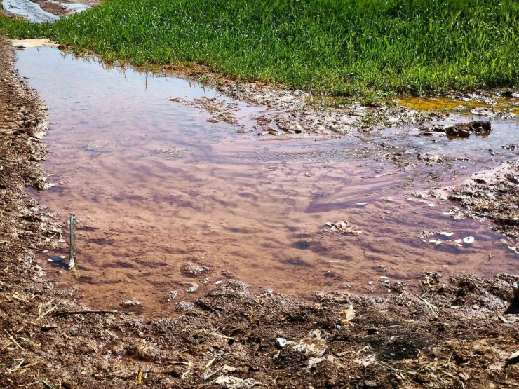 Şanlıurfa’da Elektriğin Yarısının Kaçak Kullanıldığı İddiası