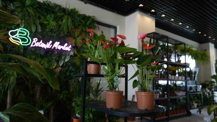 Battalgazi’de Yeşil Alanlarda Kapsamlı Çalışma