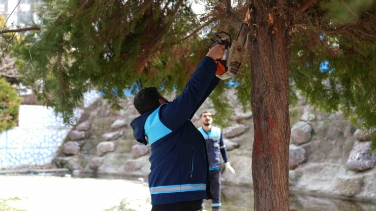 Battalgazi’de Yeşil Alanlarda Kapsamlı Çalışma