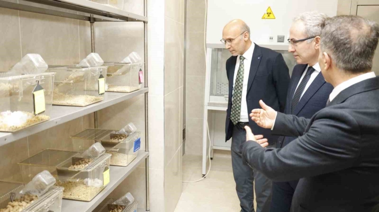 Gibtü’de Dünya Standartlarında Laboratuvar Hizmete Girdi