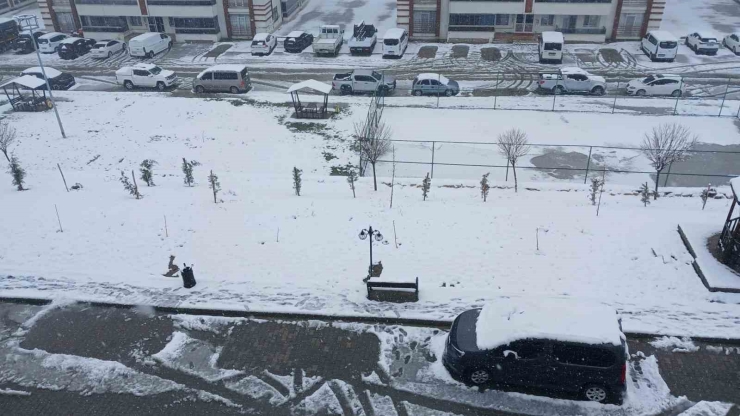 Kulp’ta Kar Yağışı Etkili Oldu, İlçe Beyaza Büründü