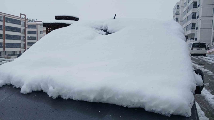 Kulp’ta Kar Yağışı Etkili Oldu, İlçe Beyaza Büründü