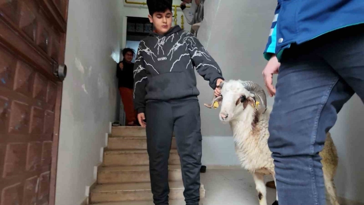 Eyyübiye’de Yetimin Yüzü Güldü