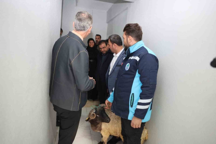 Eyyübiye’de Yetimin Yüzü Güldü