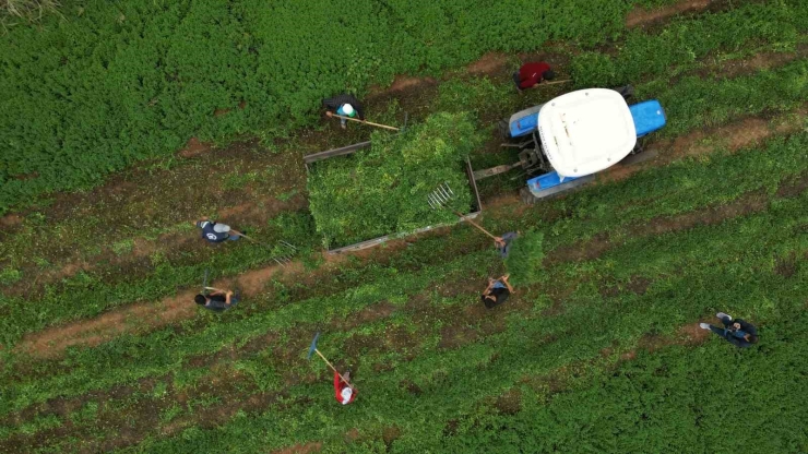 Gaziantep Büyükşehir’den Nizip’e Örnek Tarımsal Destekler