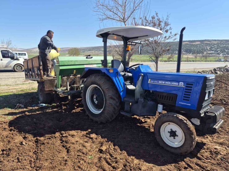 Gaziantep’te Nohut Ekimi Başladı