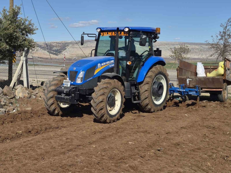 Gaziantep’te Nohut Ekimi Başladı