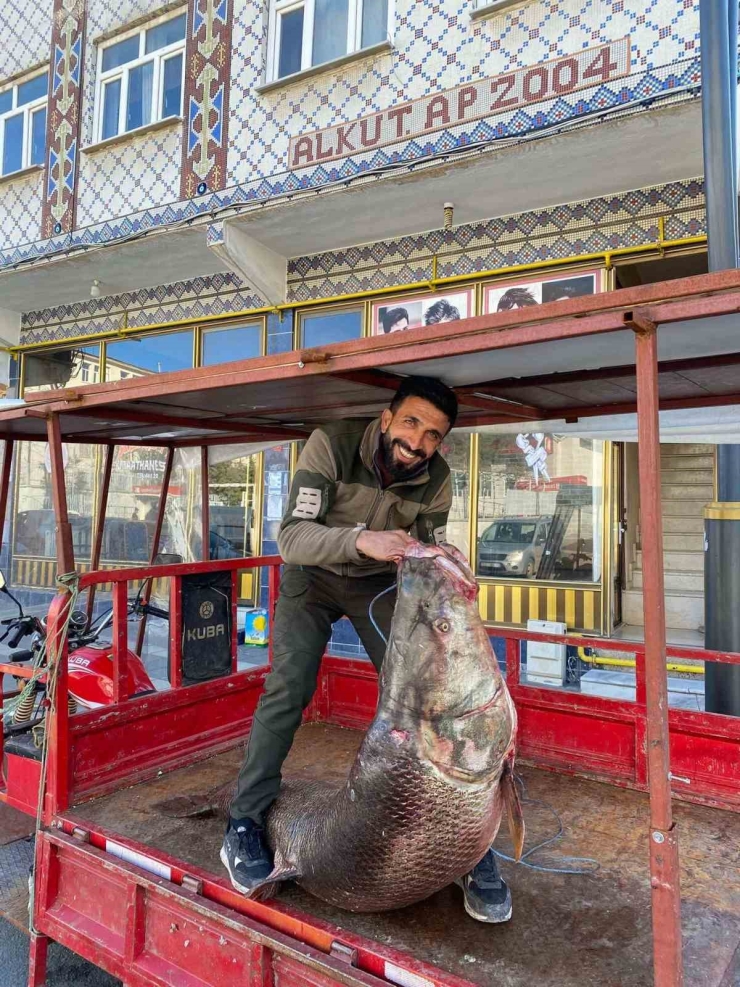 Çüngüş’te 100 Kiloluk Turna Balığı Yakalandı