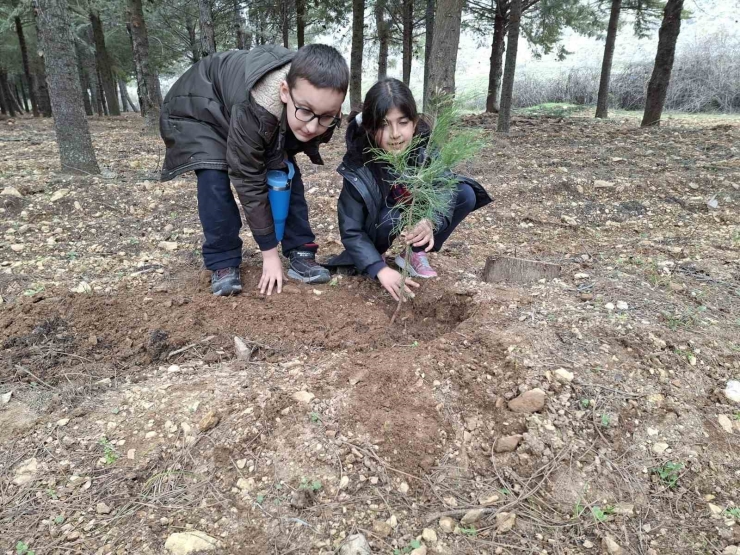 Gkv’lilerin "geleceğe Nefes Projesi" Doğaya Umut Oldu
