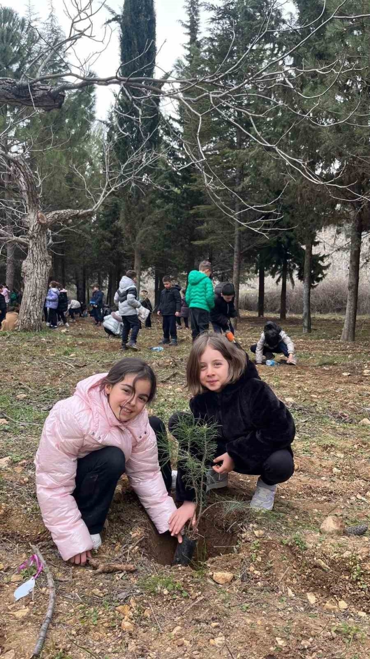 Gkv’lilerin "geleceğe Nefes Projesi" Doğaya Umut Oldu