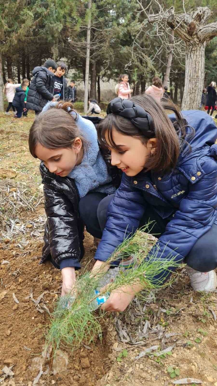 Gkv’lilerin "geleceğe Nefes Projesi" Doğaya Umut Oldu