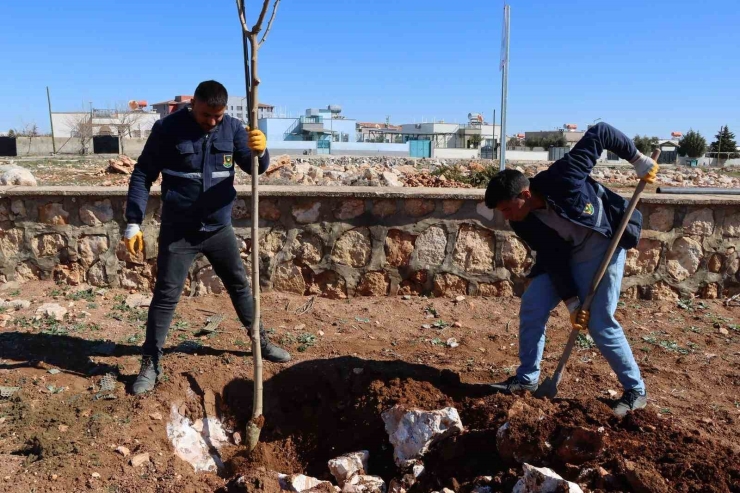 Yukarıgöklü Kent Parkı Yeşile Bürünüyor