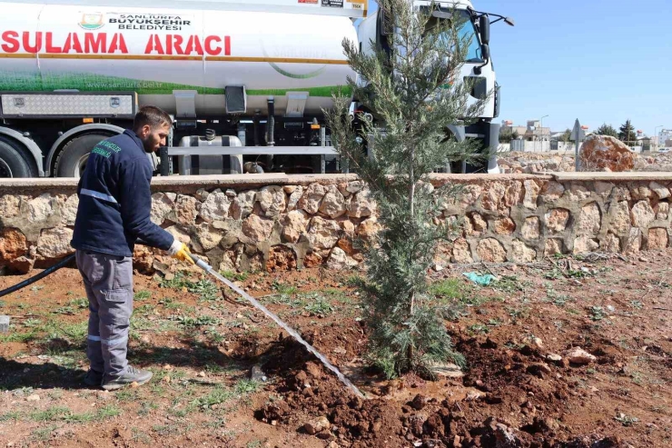 Yukarıgöklü Kent Parkı Yeşile Bürünüyor