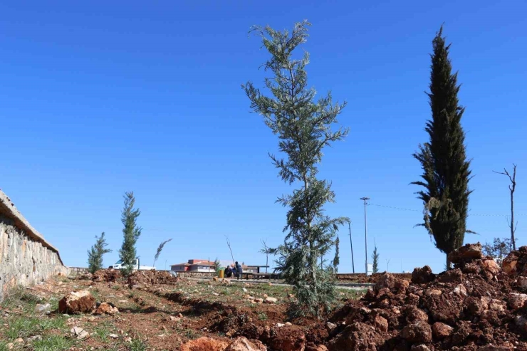 Yukarıgöklü Kent Parkı Yeşile Bürünüyor