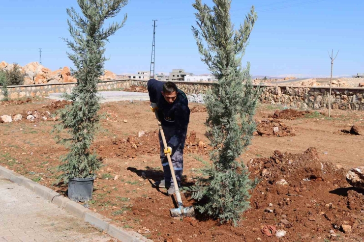 Yukarıgöklü Kent Parkı Yeşile Bürünüyor