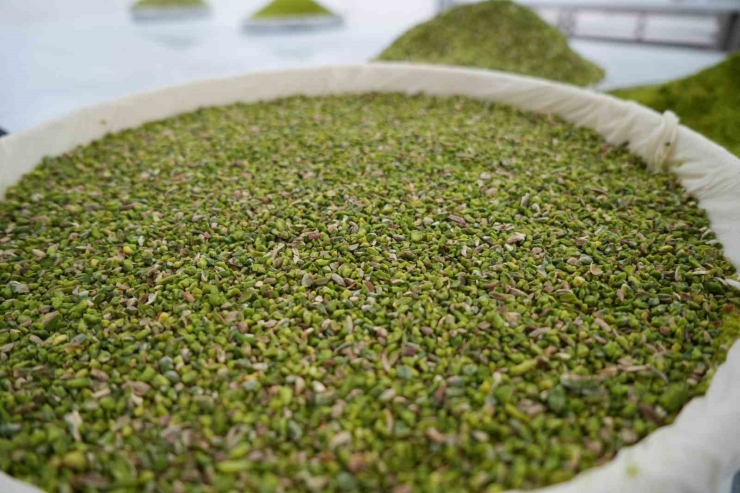 Bayram Öncesi Gaziantep’te Baklava Mesaisi