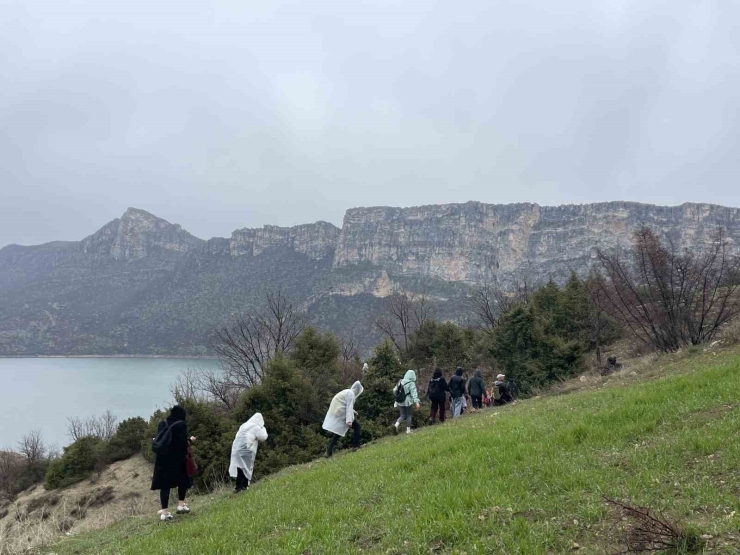 Bahar Çiçeği Nergisler Doğaseverlerin İlgi Odağı Oldu