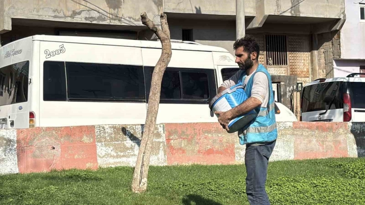 Yemyeşil Eyyübiye İçin Hazırlıklar Sürüyor