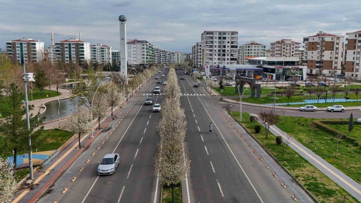 Bulvarlar Süs Armutlarıyla Görsel Şölene Dönüştü