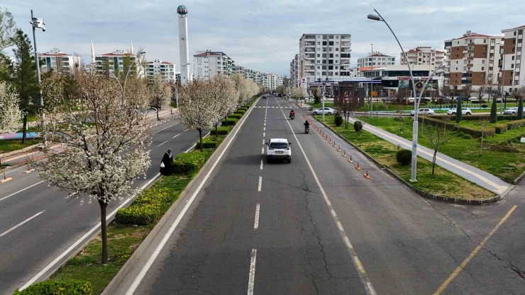 Bulvarlar Süs Armutlarıyla Görsel Şölene Dönüştü