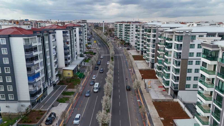 Bulvarlar Süs Armutlarıyla Görsel Şölene Dönüştü