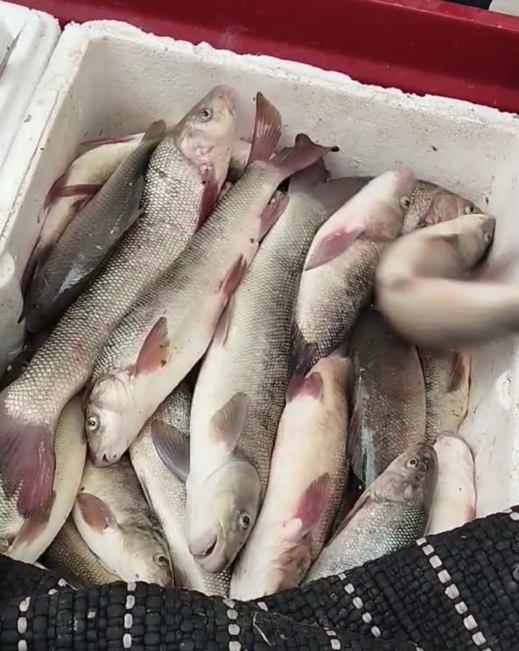 Diyarbakır’da Av Yasağı Başladı