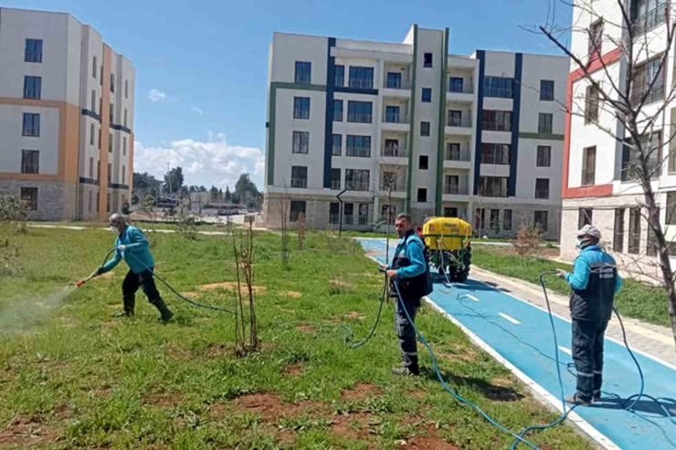 Araban Toki Konutlarında Yabani Otlar Ve Haşerelerle İlaçlı Mücadele Başlatıldı