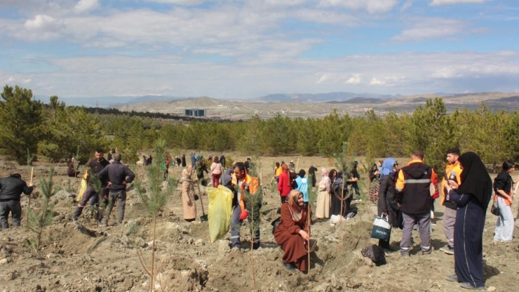 "kadınlarla El Ele Bir Fidan Bin Nefes" Etkinliğinde Fidanlar Toprakla Buluştu