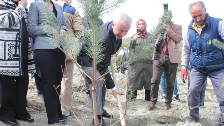 "kadınlarla El Ele Bir Fidan Bin Nefes" Etkinliğinde Fidanlar Toprakla Buluştu