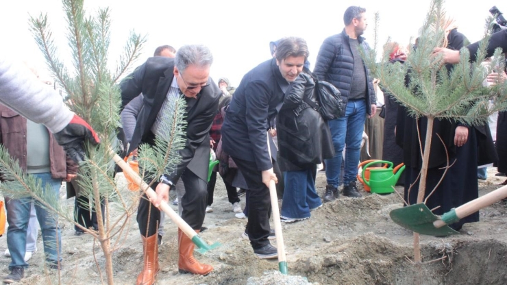 "kadınlarla El Ele Bir Fidan Bin Nefes" Etkinliğinde Fidanlar Toprakla Buluştu