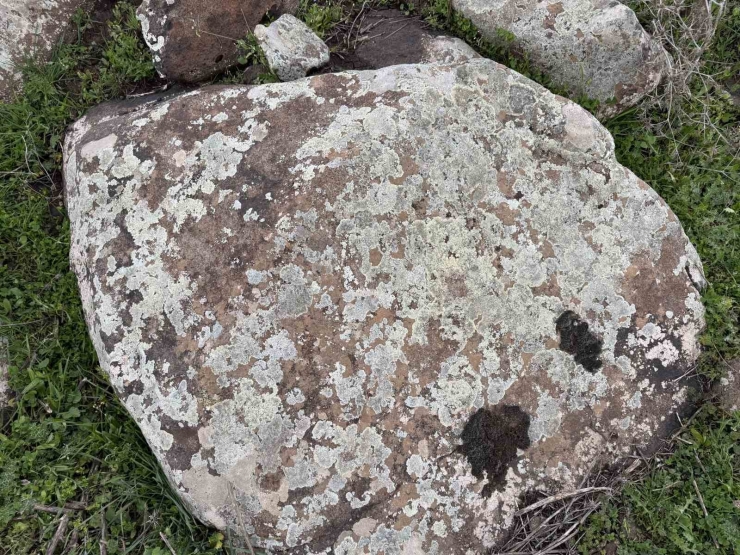 Taşların Üzerindeki Yosunları Kına Gibi Kullanıyorlar