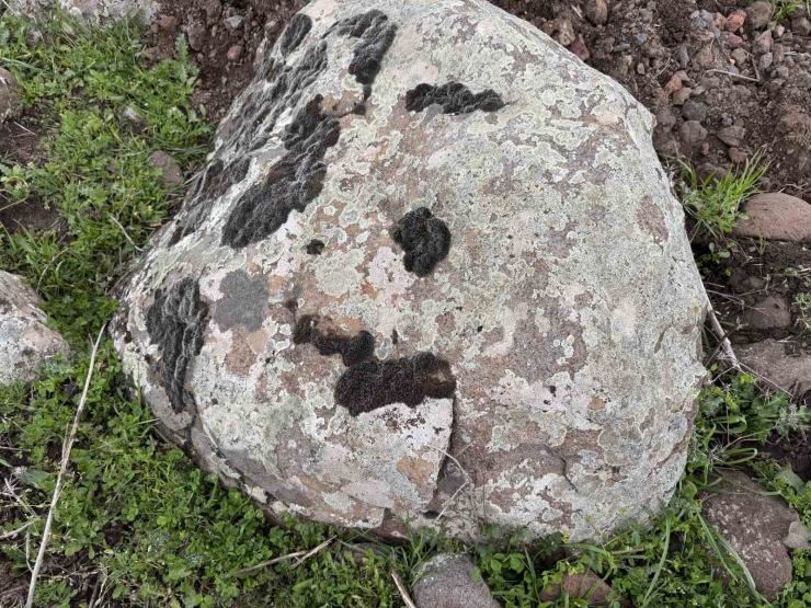 Taşların Üzerindeki Yosunları Kına Gibi Kullanıyorlar