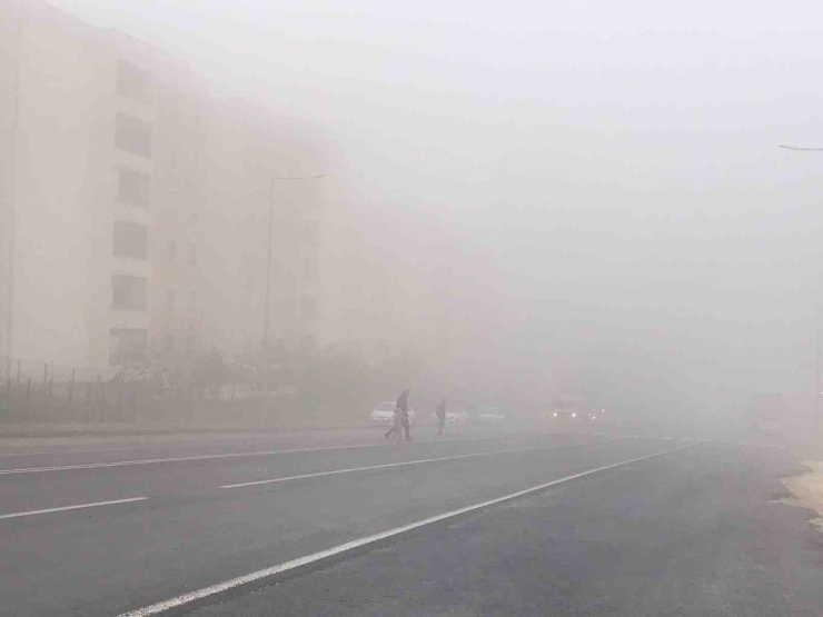 Şanlıurfa’da Sis Nedeniyle Görüş Mesafesi Düştü